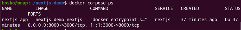 Checking the Next.js container status.