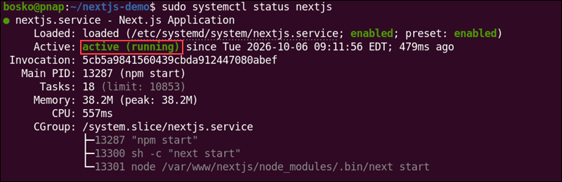 Checking the Next.js service status.