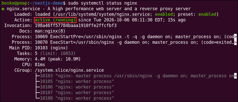 Checking Nginx service status.