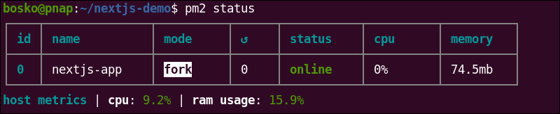 Checking pm2 status on Ubuntu.