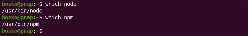 Checking Node and NPM installation paths on Ubuntu.