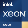 Intel Xeon Gold Logo