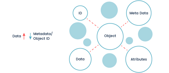 Structure and Function